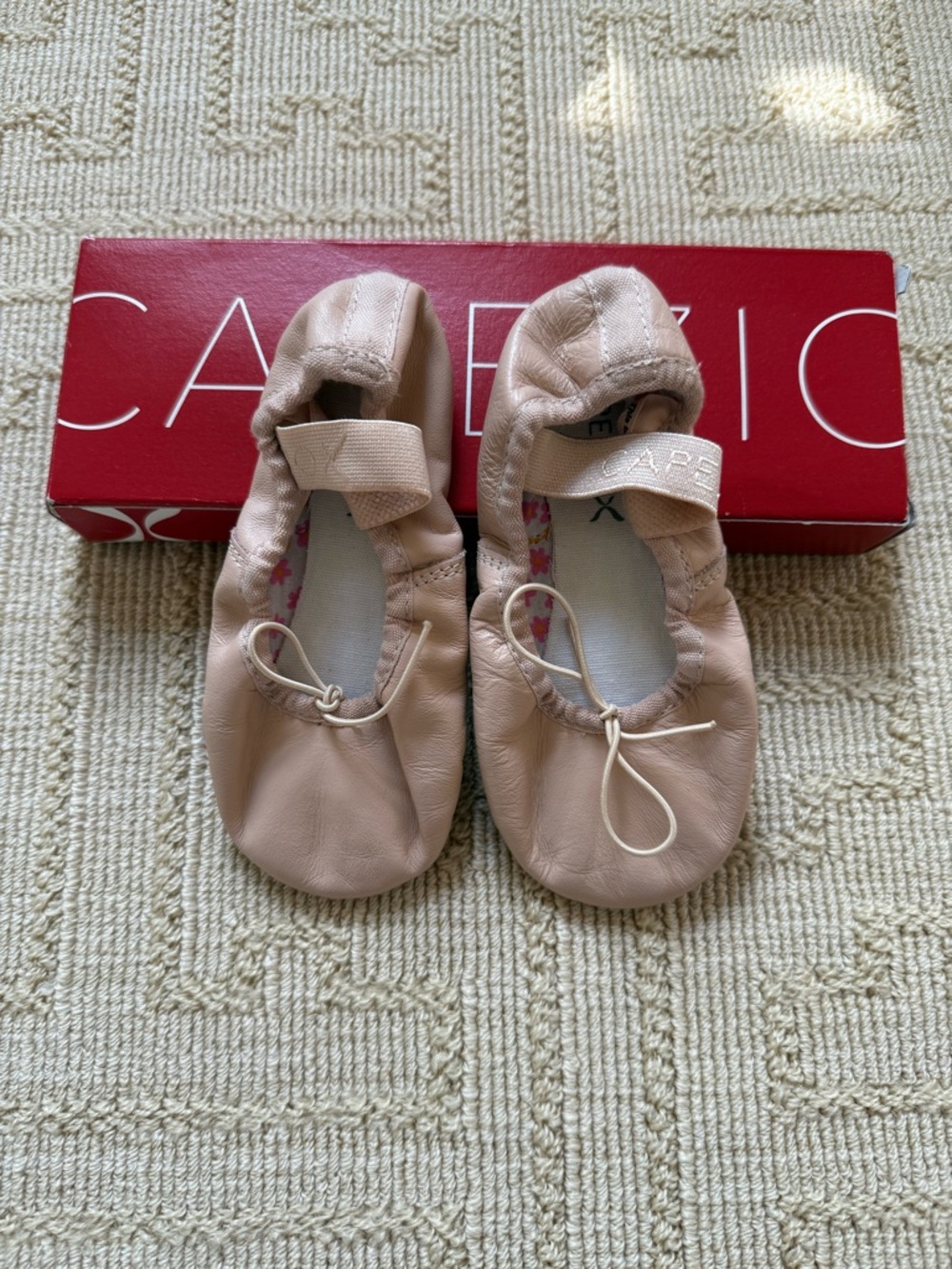 Brand New Box Capezio Ballet Slippers in Blush PinkDaisy 9.5 W